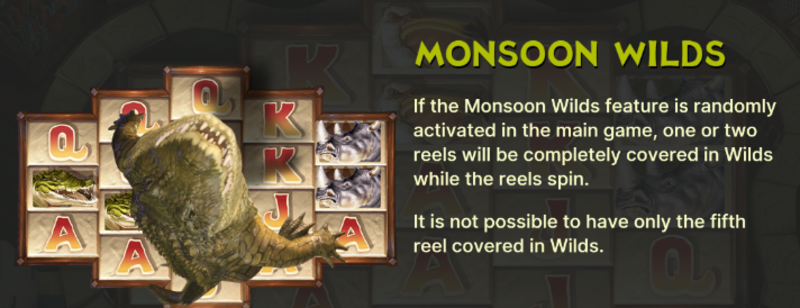 Бонус в слота Джуманджи Monsoon Wilds