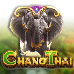 Chang Thai