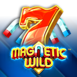 Magnetic Wild Dice